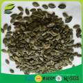 2016 new crop snow white pumpkin seeds kernels grade A